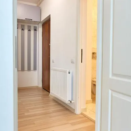 Apartment Solis *